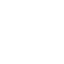 r66 icon