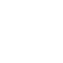 r66 icon