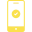 r66 icon