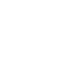 r66 icon