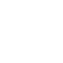 r66 icon