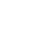 r66 icon