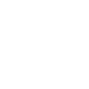 r66 icon