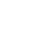 r66 icon